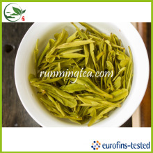 Stick Green Tea Export Para o Japão Índia Indonésia